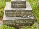 image of grave number 647351